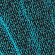 mesh